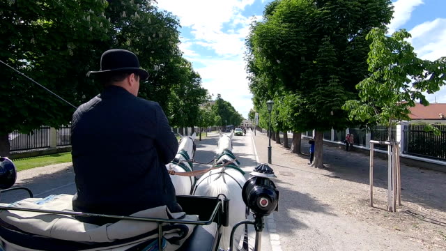 The coachman rides a carriage through the park.