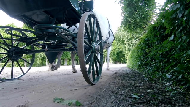 The carriage rides through the park in Vienna. Austria.
