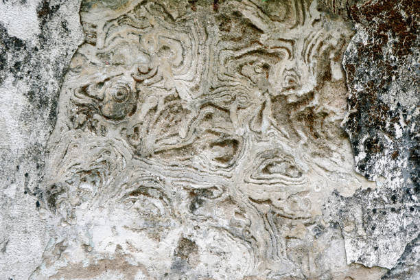 istock Dirty Old Gray Concrete Wall 1159624173