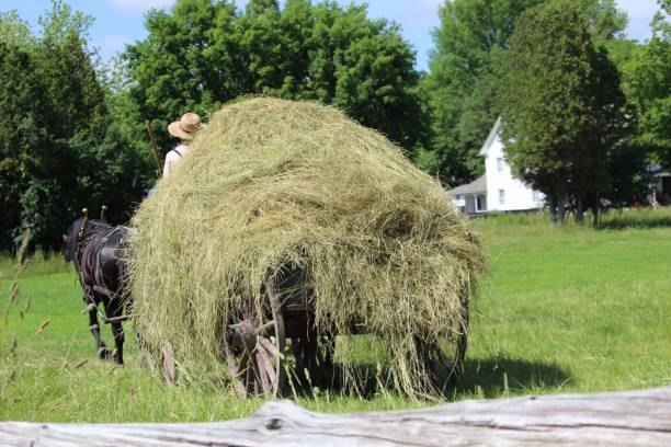 19th century farming