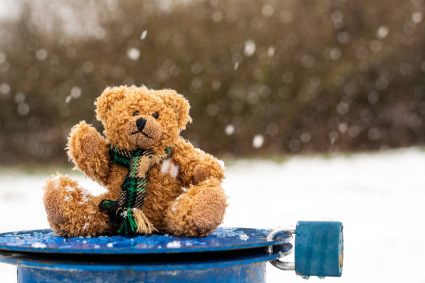 istock Plush teddy bear on blue lid with blue lock in snowy landscape 1159627336