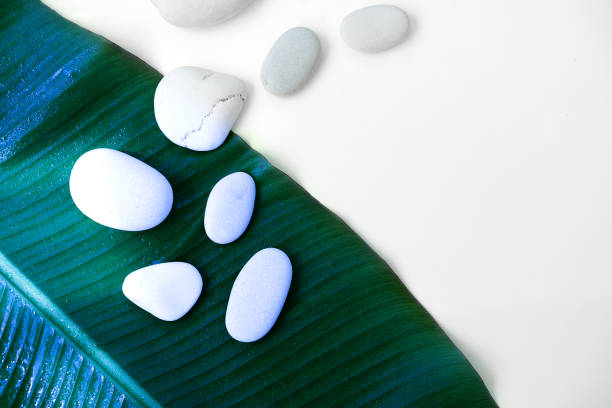 istock banana leaf and white pebble stones on white background 1159627904