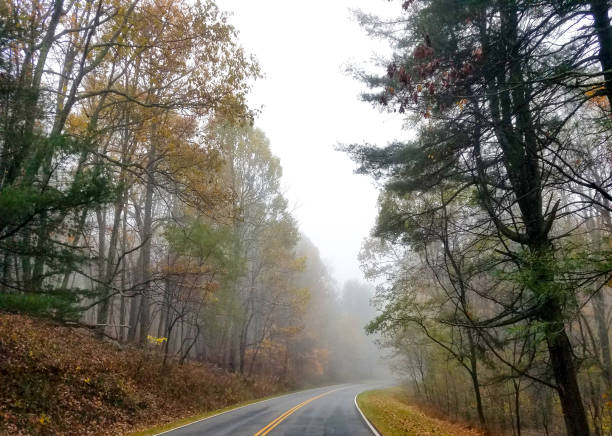 istock Road winding through a forest in autumn 1159627949