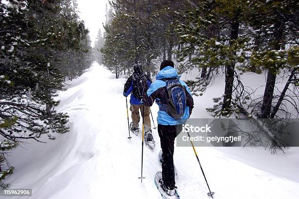 Photo libre de droit de Randonnée En Raquettes banque d'images et plus d'images libres de droit de Raquette à neige - Raquette à neige, Randonnée en raquettes, Randonnée pédestre