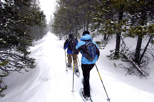 Snowshoeing through a trail in a forest stock photo