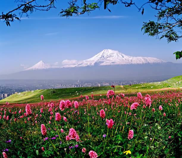 istock Beautiful view of Mount Ararat. 1159629387