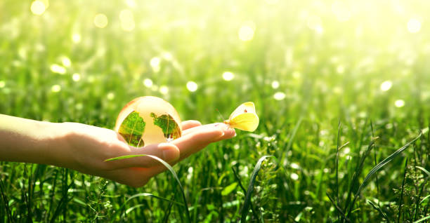 istock Earth glass globe and butterfly in human hand on green grass background. Saving environment concept. 1159630507