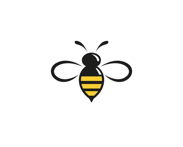 yaratıcı soyut bumblebee logo tasarım vektör sembol illüstrasyon - bal illüstrasyonlar stock illustrations