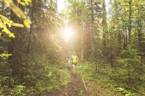 istock Middle-aged couple trail running in the forest 1159631168