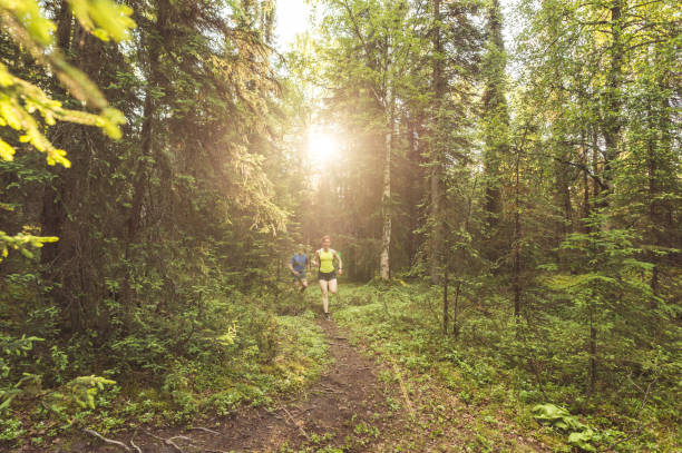 istock Middle-aged couple trail running in the forest 1159631173