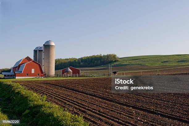 Foto de Celeiro Vermelho Com Vaca e mais fotos de stock de Primavera - Estação do ano - Primavera - Estação do ano, Celeiro vermelho, Celeiro