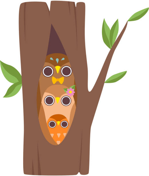счастливая семья сов, сидящих в полости дерева, отец, мать и их совы, симпатичные персонажи мультфильма птицы вектор иллюстрация - owl young animal bird mother stock illustrations