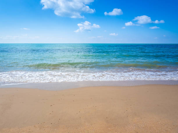 istock Summer beach sand, Life's a beach. 1159632601