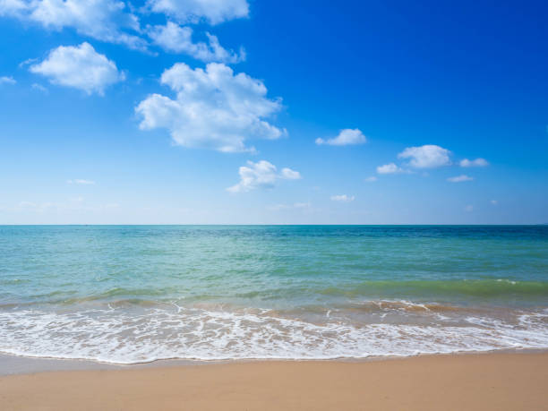 istock Summer beach sand, Life's a beach. 1159632886