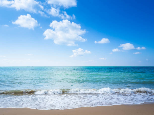 istock Summer beach sand, Life's a beach. 1159633037