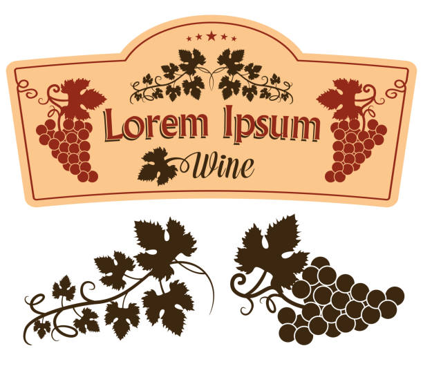 Wine Label Design Elements Vector Illustration with Design Elements for Wine Labels and other related products swirly vines stock illustrations