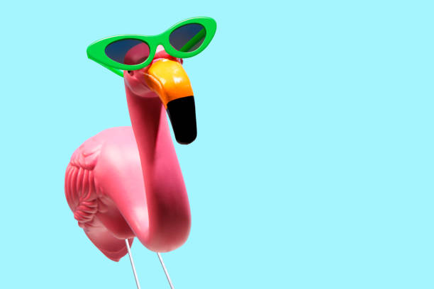 fenicottero rosa che indossa occhiali da sole - plastic flamingo foto e immagini stock