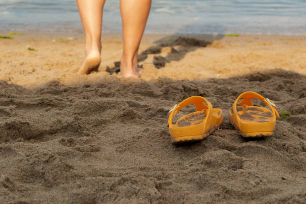 istock Walk into the sea in summer 1159637640