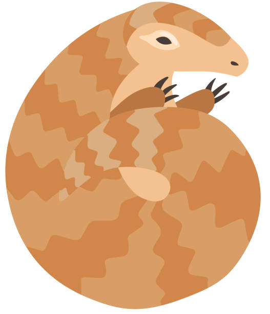 Cute Pangolin Curled Up Rare Species Of Animals Cartoon Vector Illustration  Stock Illustration - Download Image Now - iStock