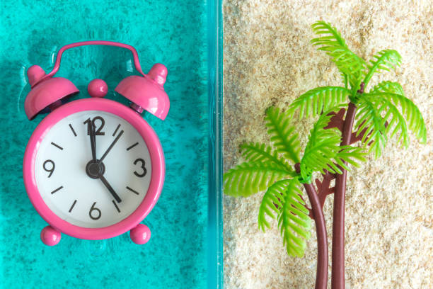 istock Alarm clock in water and palm tree on beach abstract. 1159640383