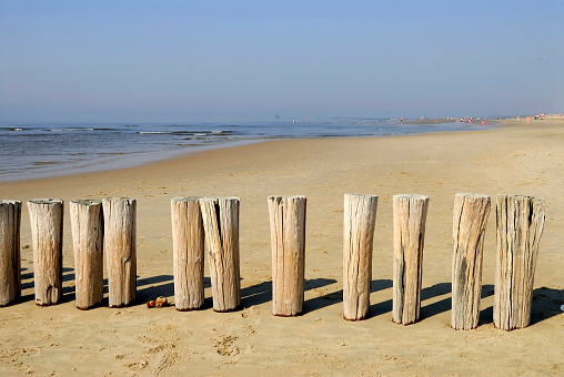 North Sea beach  with wooden breakwater in Zeeland, the Netherlands.