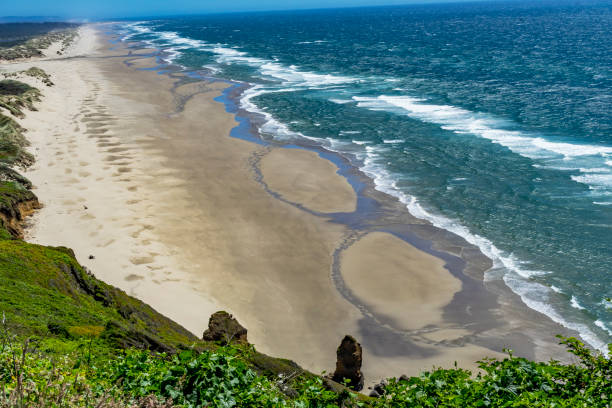 Green Cliffs Rocks Yellow Beach Coastline Blue Waves Pacific Ocean Florence Oregon