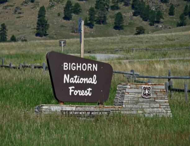 signe de bord de la route entrant la forêt nationale de bighorn dans wyoming. - bighorn mountains photos et images de collection