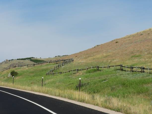 vistas que conduzem através das montanhas de bighorn em wyoming. - bighorn mountains - fotografias e filmes do acervo