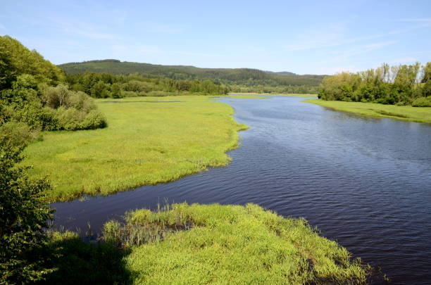 istock Lipno reservoir near Nova Pec 1159647103