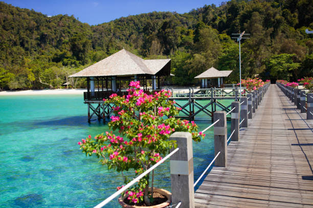 istock Coral reef island. Summer vacation. Resort jetty. 1159647193