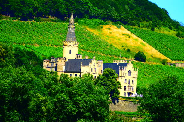 istock church in the vineyards 1159648535