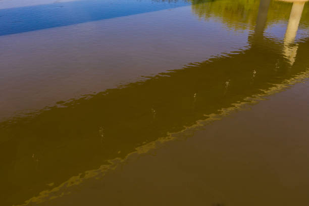 Reflection of bridge in the water in countryside.