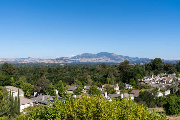 View across East Bay to Mt Diablo Looking across homes and full green trees of Contra Costa County to Mt. Diablo, California contra costa county stock pictures, royalty-free photos & images