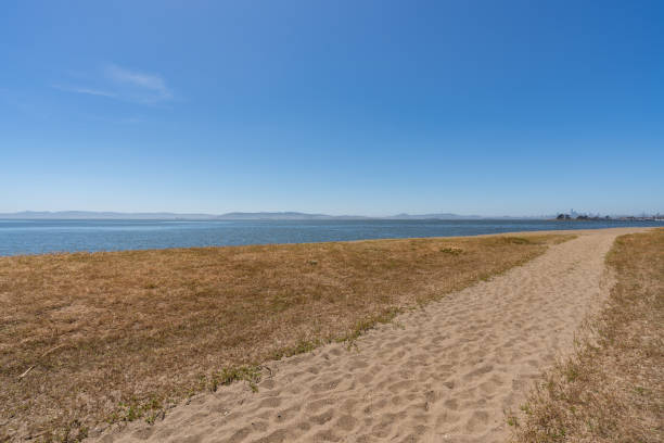 istock Path to Beach overlooking San Francisco Bay 1159649662