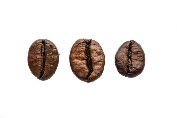 istock Three roasted coffee beans isolated on white background, macro photo 1159651141
