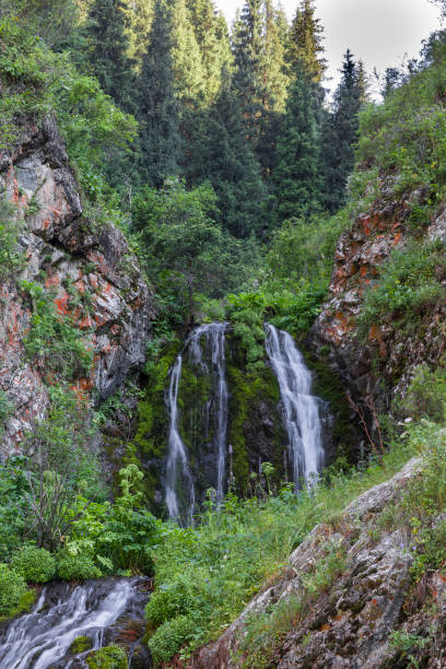 istock mountain wooded waterfall among the rocks in summer 1159652664