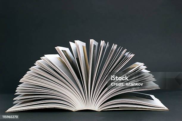 Livro Aberto - Fotografias de stock e mais imagens de Manual - Manual, Aberto, Bíblia