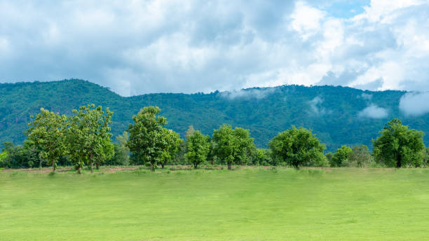 istock Green backyard with mountain and blue sky 1159653218