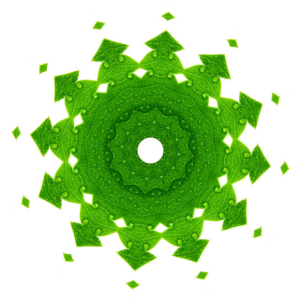 istock Green leaves with kaleidoscope effect on white background. Abstract floral mandala pattern. 1159653906