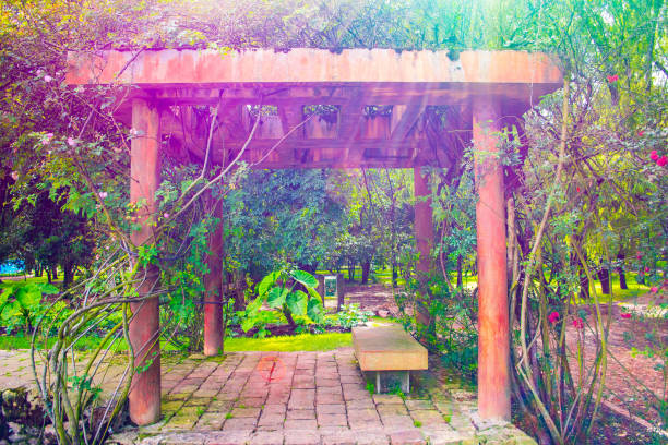 istock Colorful japanese garden entrance and path 1159655409