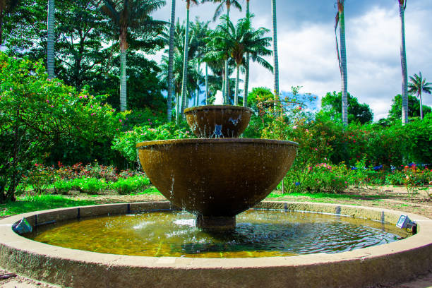 istock Garden fountain on sunny day 1159656706