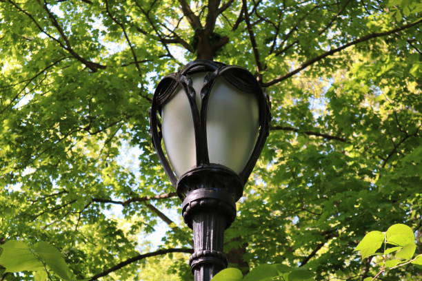 istock Closeup of a streetlight among trees. 1159659071