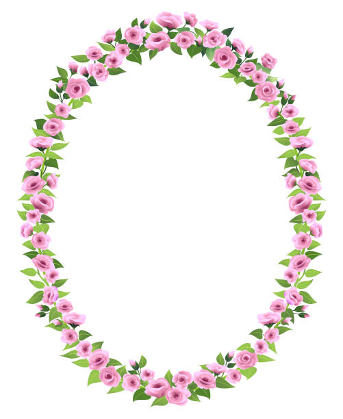 Oval Rosa Vector 600+ Oval Roses Frame Stock Illustrations, Royalty-Free Vector Graphics ...