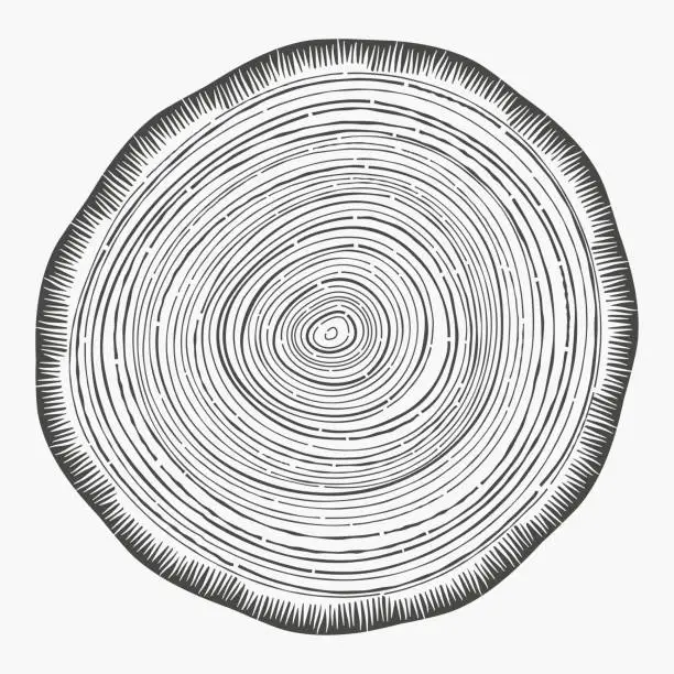 Vector illustration of Tree Rings