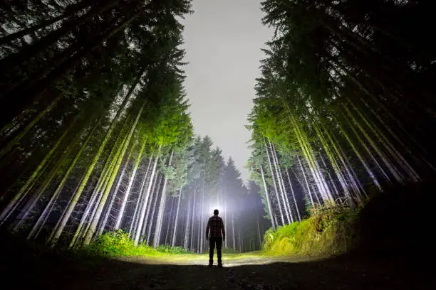 Wide angle shot, back view of athletic man with head flashlight standing on forest ground road among tall brightly illuminated fir-trees under beautiful dark blue night sky. Traveling and adventure.