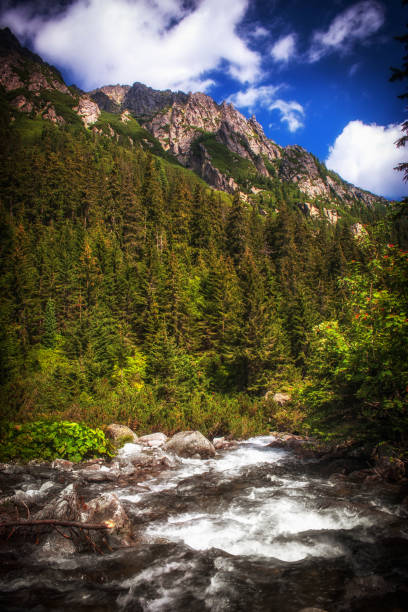 istock Mountain landscape, Tatra National park, Poland. 1159661328
