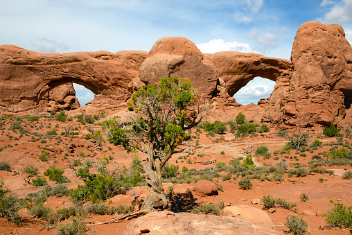 stone windows in arches national park