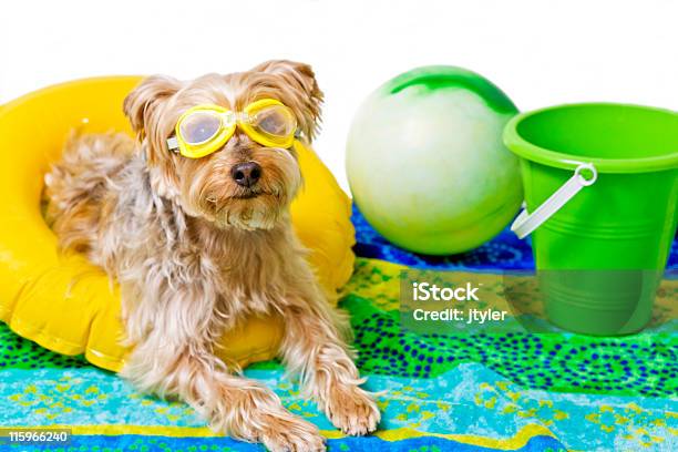 Lifes A Beach Stockfoto und mehr Bilder von Sommer - Sommer, Hundstage, Strandhandtuch