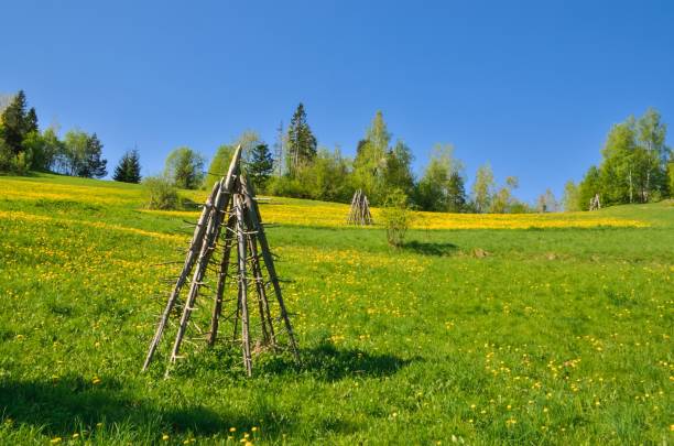 istock Beautiful springtime rural landscape. 1159663691