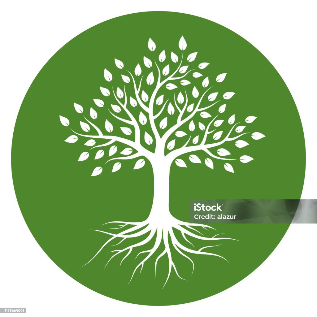 Hình Bóng Của Một Cái Cây Có Rễ Và Lá Theo Vòng Tròn Màu Trắng ...